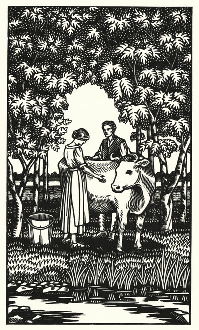 Illustration für Tess von den d