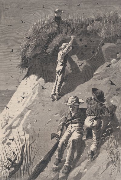 Überfall auf eine Sandschwalbenkolonie - Wie viele Eier von W. H. Lagarde