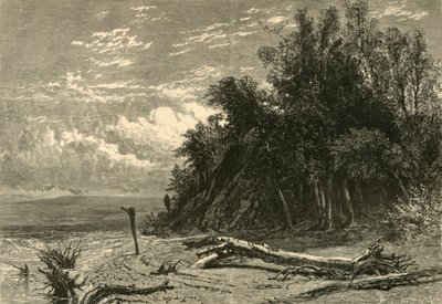 Das Ufer am Lake Forest, 1874 von W. J. Linton