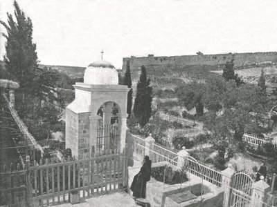 Der Garten von Gethsemane, Jerusalem, Palästina, 1895 von W and S Ltd
