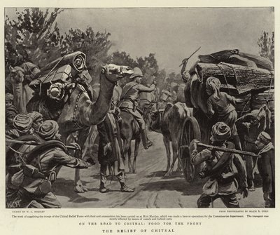 Die Entlastung von Chitral von Walter Charles Horsley