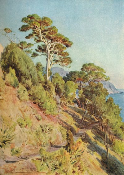 In der Villa Piuma, Sestri Levante, um 1910, 1912 von Walter Frederick Roofe Tyndale