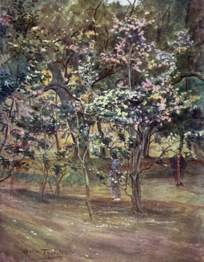 Einzelne Kamelien im Ueno-Park, Tokio von Walter Frederick Roofe Tyndale