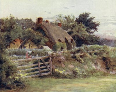 Der New Forest: Hütte in der Nähe von Brokenhurst (Farblithografie) von Walter Frederick Roofe Tyndale