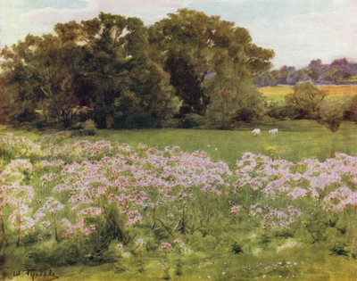 Der New Forest: Riversdale, Boldre von Walter Frederick Roofe Tyndale