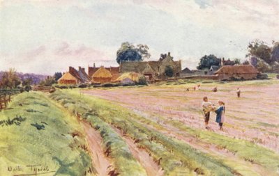 Wessex: Ein Wessex-Bauernhof von Walter Frederick Roofe Tyndale