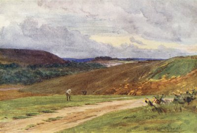 Wessex: Die Broadstone Golf Links, in der Nähe von Poole (Farblithographie) von Walter Frederick Roofe Tyndale