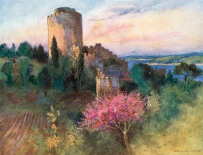 Roumeli Hissar von Warwick (after) Goble