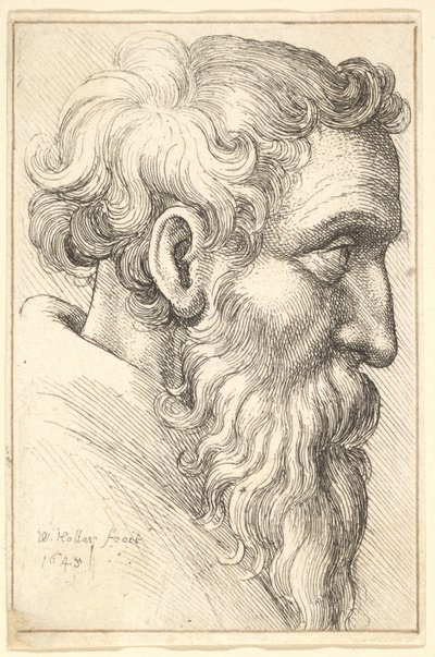 Bärtiger alter Mann im Profil nach rechts von Wenceslaus Hollar