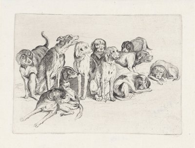 Elf Jagdhunde von Wenceslaus Hollar