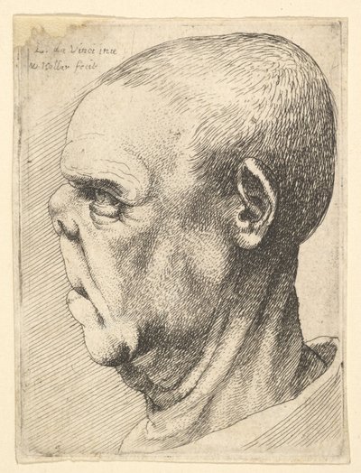 Grotesker alter Mann mit abgeflachter Nase im Profil nach links, 1625-77 von Wenceslaus Hollar
