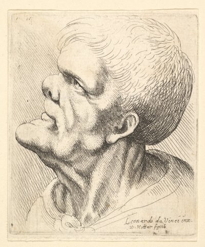 Kopf eines Mannes mit vorstehendem Kinn und Stupsnase, der nach oben links schaut, 1625-77 von Wenceslaus Hollar