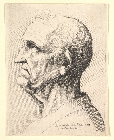 Kopf eines alten Mannes mit Locken um das Ohr im Profil nach links, 1644-52 von Wenceslaus Hollar