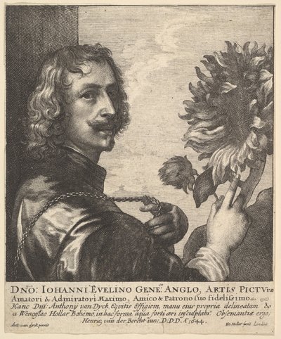 Sir Anthony van Dyck mit einer Sonnenblume, 1644 von Wenceslaus Hollar