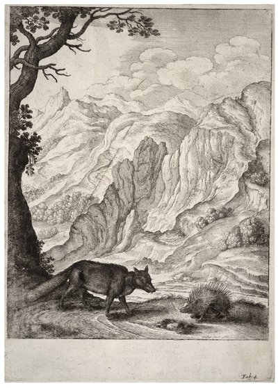 Der Fuchs und das Stachelschwein (Zustand 2) von Wenceslaus Hollar