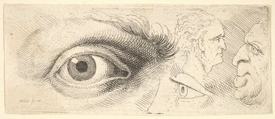 Zwei Augen und zwei Köpfe von Wenceslaus Hollar