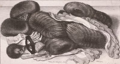 Winterkleidung für eine Frau, einschließlich Muff, Handschuhe und Taschentücher von Wenceslaus Hollar