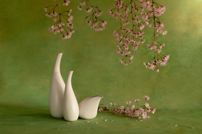 Kirschblütenvasen von Wendy Xu