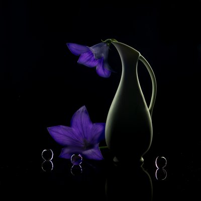 Lila Blumen Dunkle Eleganz von Wendy Xu