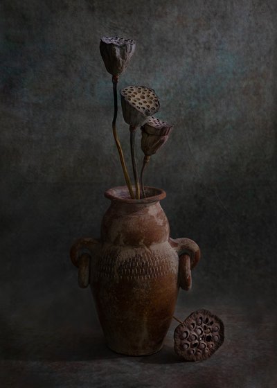 Rustikales Lotus-Stillleben von Wendy Xu