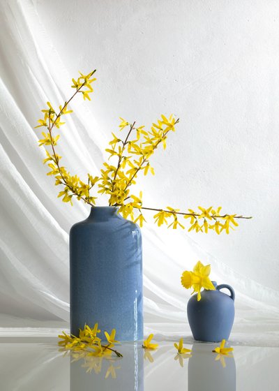 Gelbe Blüten in Blauen Vasen von Wendy Xu