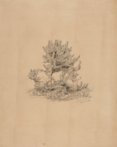Ohne Titel von Werner Holmberg