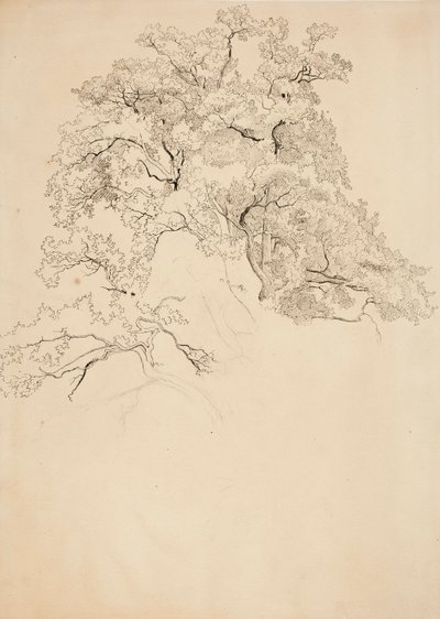  von Werner Holmberg
