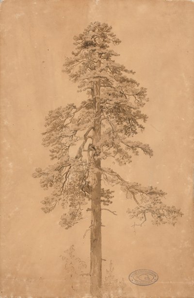 Ohne Titel von Werner Holmberg