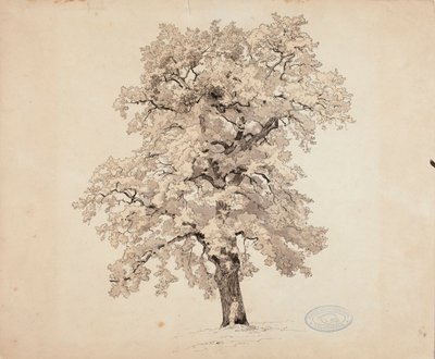 Ohne Titel von Werner Holmberg