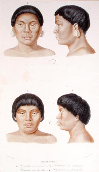 Anthropometrische Studie von zwei Botocudos-Indianern, graviert von Fournier, Mitte des 19. Jahrhunderts (Farblithografie) von Werner Werner