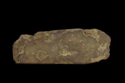 Fragment einer zeremoniellen Waffe von Western Zhou Dynasty Chinese School