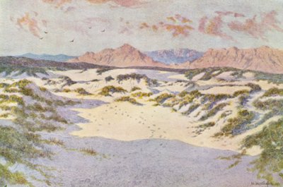 Auf den Sanddünen bei Muizenberg von Wilhelm Westhofen