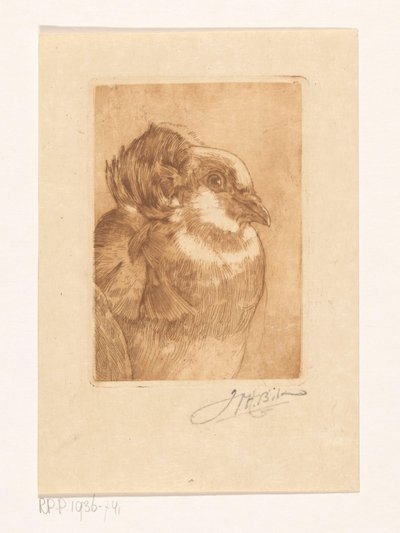 Studie einer Taube von Willem Hendrik Bik (signed by artist)