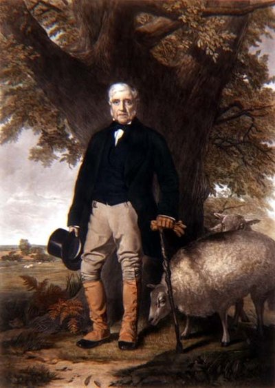Porträt von Samuel Wiley mit preisgekrönten Schafen, graviert von J. Andrews von William (after) Hay