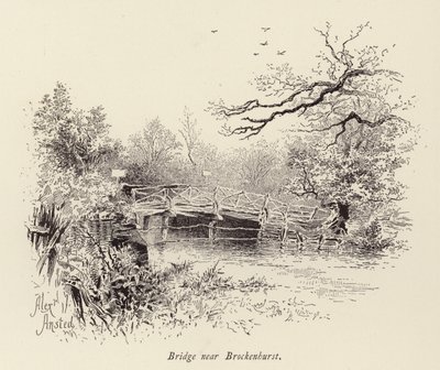 Brücke bei Brockenhurst von William Alexander Ansted