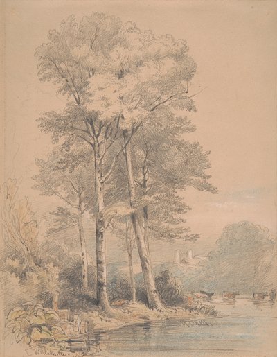 Llandovery Castle, Südwales von William Alfred Delamotte