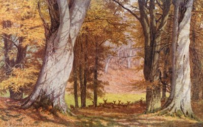 Im Knole Park, nahe der King Beech von William Biscombe Gardner