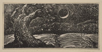 Zerstörte Bäume und plattgedrückte Felder, aus Thorntons Pastorals of Virgil, 1821 von William Blake
