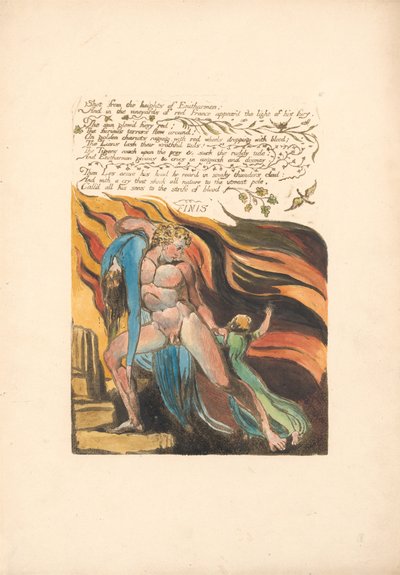 Schuss von den Höhen von Enitharmon (Platte 17) von William Blake