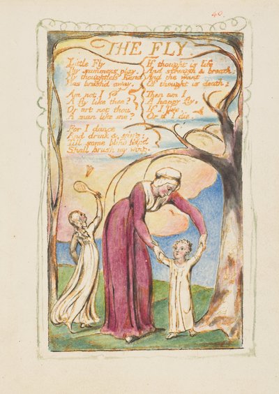 Lieder der Erfahrung: Die Fliege von William Blake