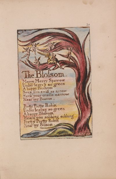 Lieder der Unschuld und der Erfahrung, Tafel 20, Die Blüte (Bentley 11) von William Blake