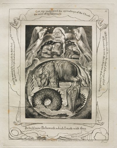 Das Buch Hiob: Pl. 15, Siehe jetzt Behemoth, das ich mit dir gemacht habe von William Blake