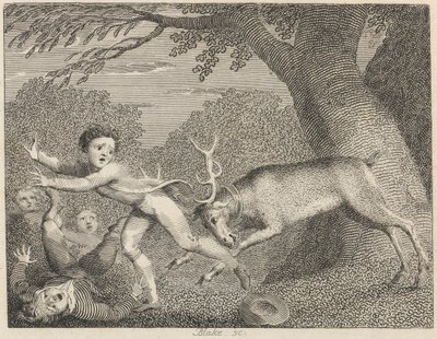 Der zahme Hirsch von William Blake