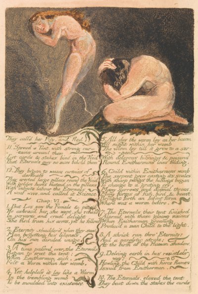 Das erste Buch Urizen, Platte 17, "Sie nannten sie Mitleid und flohen . . . ." (Bentley 19) von William Blake
