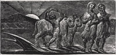 Mit Liedern kehren die fröhlichen Knechte vom Pflug zurück, Illustration aus Dr. Thorntons 