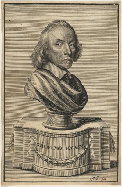 William Harvey, M.D. von William Faithorne