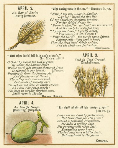 Seite aus dem Bibel-Emblem-Jubiläumsbuch von William Foster