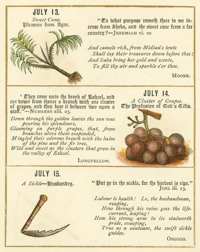 Seite aus dem Bibel-Emblem-Jubiläumsbuch von William Foster