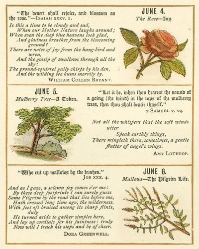 Seite aus dem Bibel-Emblem-Jubiläumsbuch von William Foster