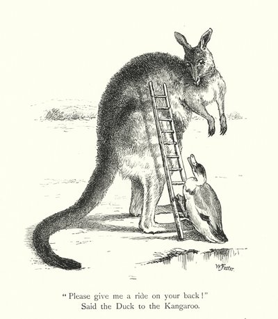 Die Ente und das Känguru (Gravur) von William Foster